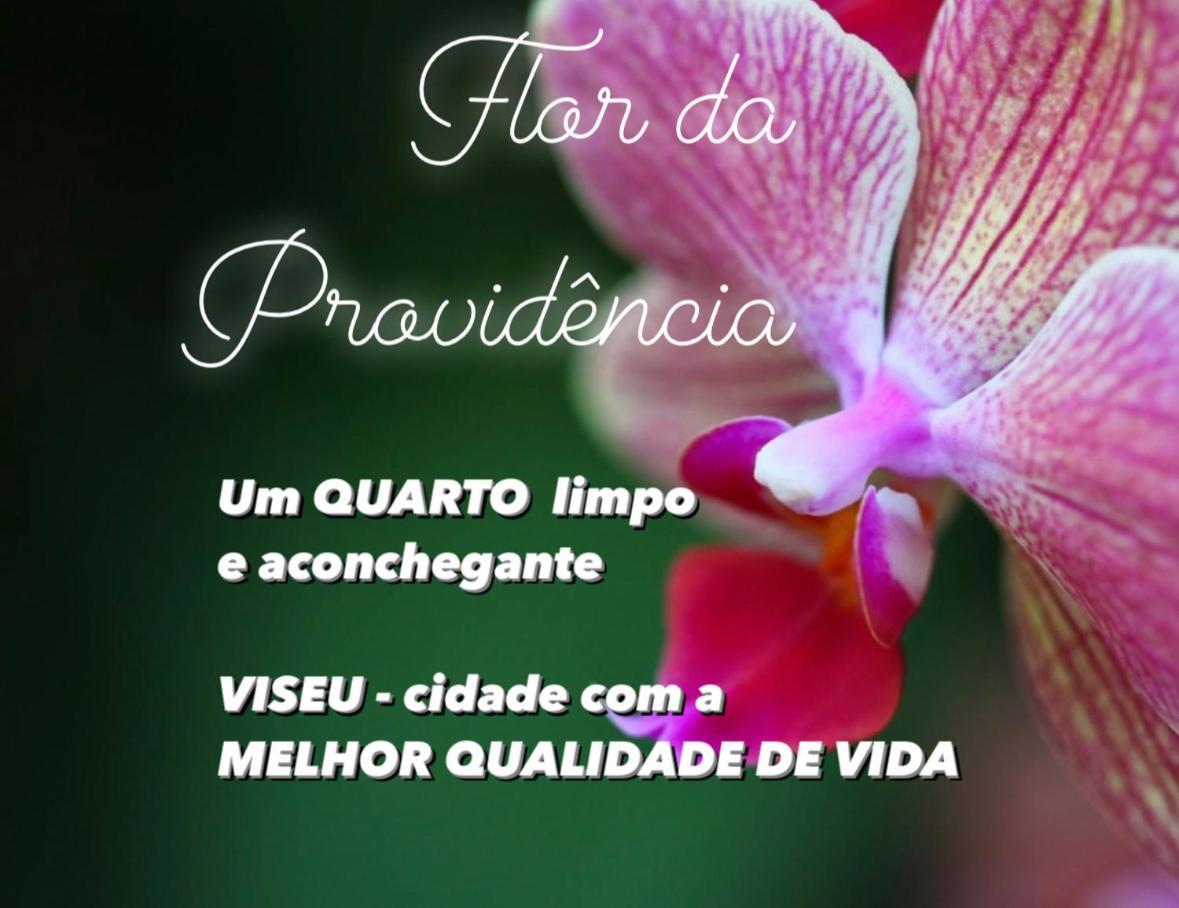 Flor Da Providencia