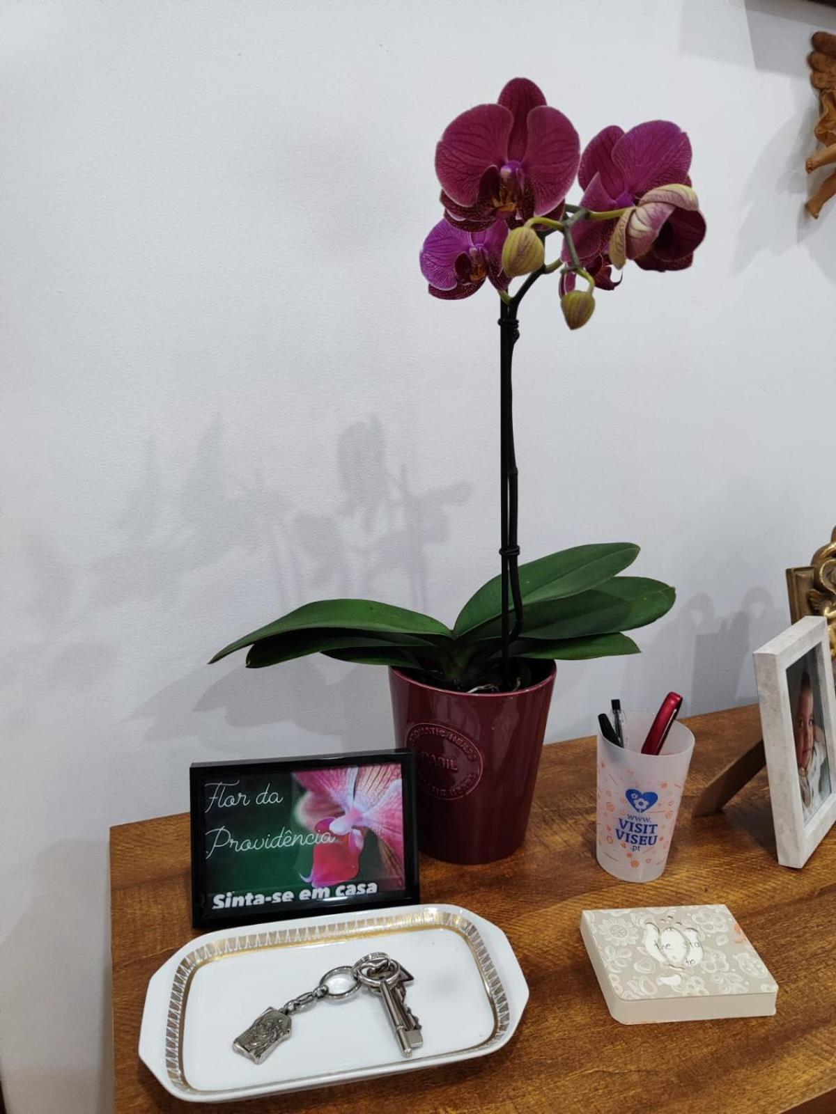 Flor Da Providencia Apartment